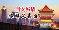 np百合操逼好爽浪叫视频中国陕西-西安城墙旅游风景区